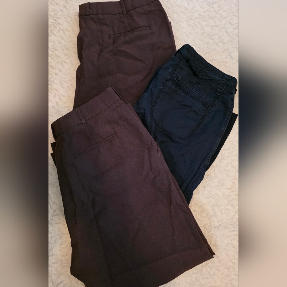 🏝️ Lot of 3 Ladies' Brown and Black Pants 12